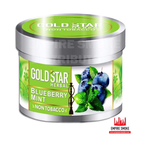 GOLDSTAR Herbal NON Tobacco Smoke BLUEBERRY MINT Flavor Premium Hookah 200 gm