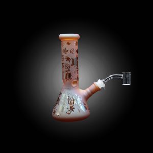 8'' COLOR SHINE PRINTED BEAKER -C