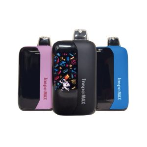 RANDYS INSPO MAX CONCENTRATE VAPORIZER