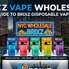 Brixz disposable vape devices displayed in retail packaging