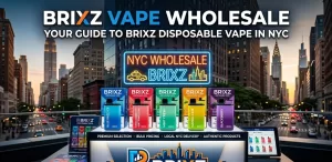 Brixz disposable vape devices displayed in retail packaging