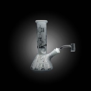 8'' COLOR SHINE PRINTED BEAKER -D